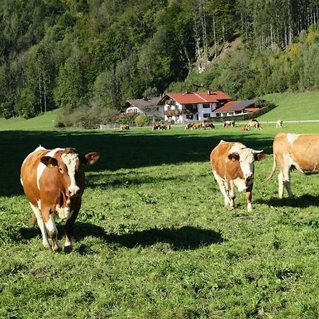 Ferienwohnung Leitner 克费尔斯菲尔登 外观 照片