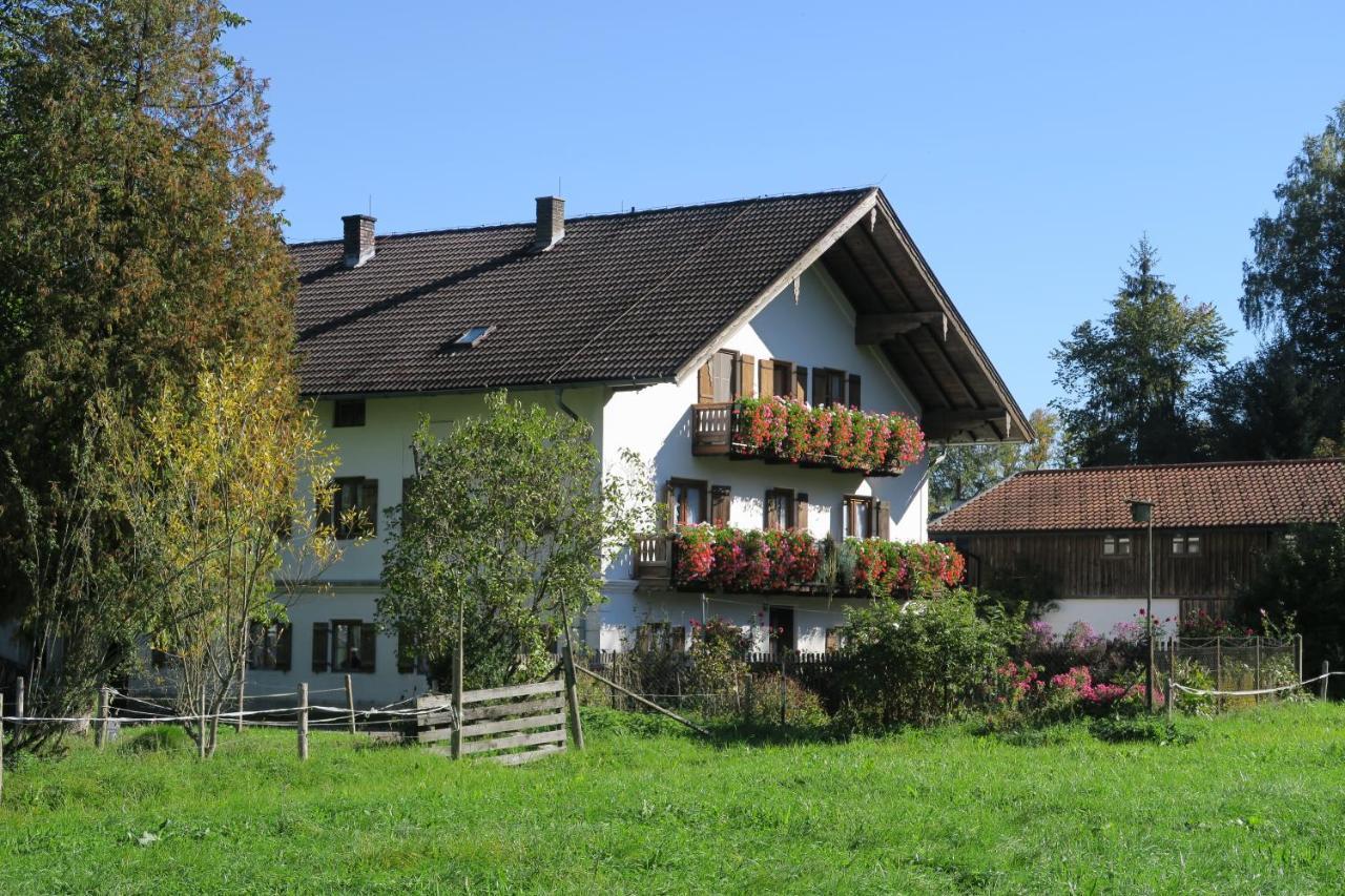 Ferienwohnung Leitner 克费尔斯菲尔登 外观 照片